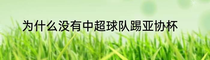 为什么没有中超球队踢亚协杯