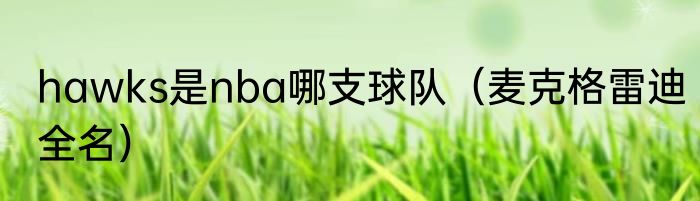 hawks是nba哪支球队（麦克格雷迪全名）