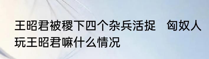 王昭君被稷下四个杂兵活捉   匈奴人玩王昭君嘛什么情况