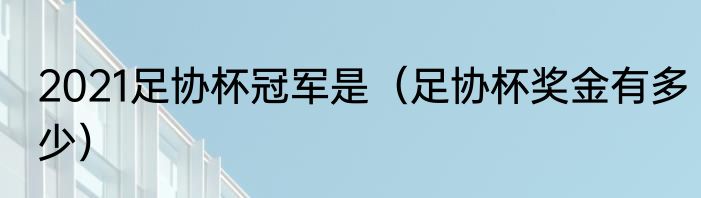 2021足协杯冠军是（足协杯奖金有多少）