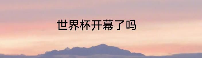 世界杯开幕了吗