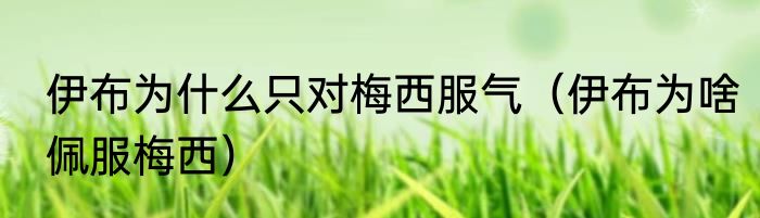 伊布为什么只对梅西服气（伊布为啥佩服梅西）