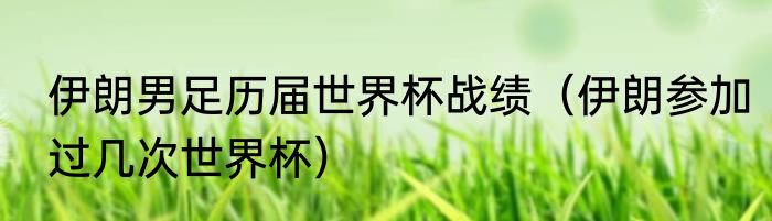 伊朗男足历届世界杯战绩（伊朗参加过几次世界杯）