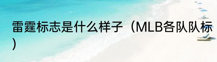 雷霆标志是什么样子（MLB各队队标）