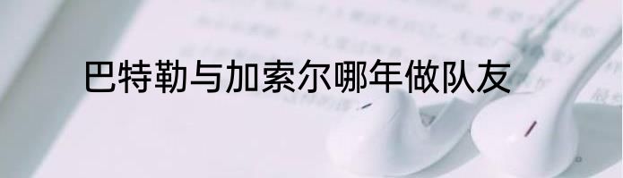 巴特勒与加索尔哪年做队友