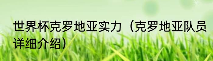 世界杯克罗地亚实力（克罗地亚队员详细介绍）