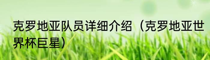 克罗地亚队员详细介绍（克罗地亚世界杯巨星）