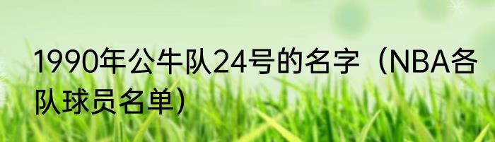 1990年公牛队24号的名字（NBA各队球员名单）