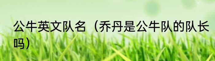 公牛英文队名（乔丹是公牛队的队长吗）