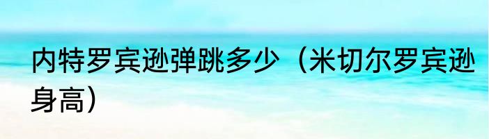 内特罗宾逊弹跳多少（米切尔罗宾逊身高）