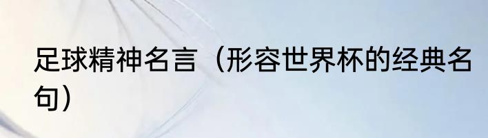 足球精神名言（形容世界杯的经典名句）