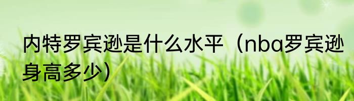 内特罗宾逊是什么水平（nba罗宾逊身高多少）