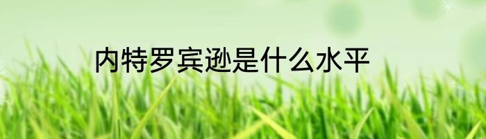 内特罗宾逊是什么水平