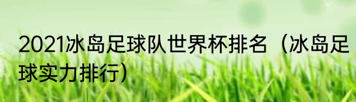 2021冰岛足球队世界杯排名（冰岛足球实力排行）