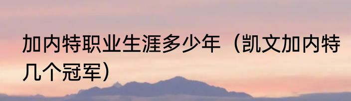 加内特职业生涯多少年（凯文加内特几个冠军）