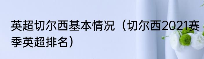 英超切尔西基本情况（切尔西2021赛季英超排名）