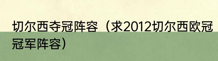 切尔西夺冠阵容（求2012切尔西欧冠冠军阵容）