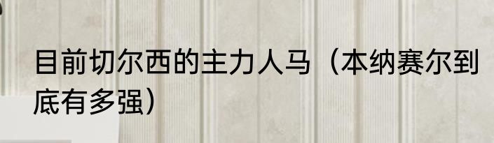 目前切尔西的主力人马（本纳赛尔到底有多强）