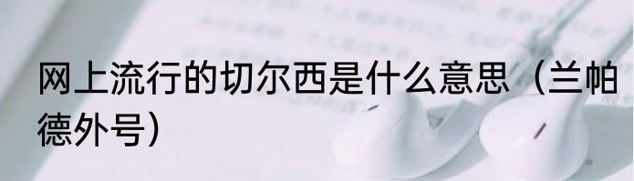 网上流行的切尔西是什么意思（兰帕德外号）