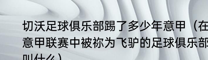 切沃足球俱乐部踢了多少年意甲（在意甲联赛中被祢为飞驴的足球俱乐部叫什么）