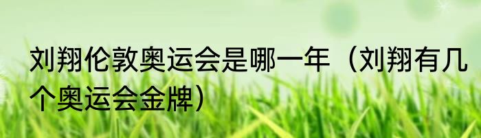 刘翔伦敦奥运会是哪一年（刘翔有几个奥运会金牌）