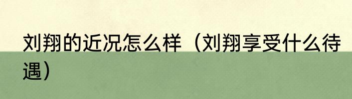 刘翔的近况怎么样（刘翔享受什么待遇）