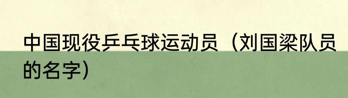 中国现役乒乓球运动员（刘国梁队员的名字）