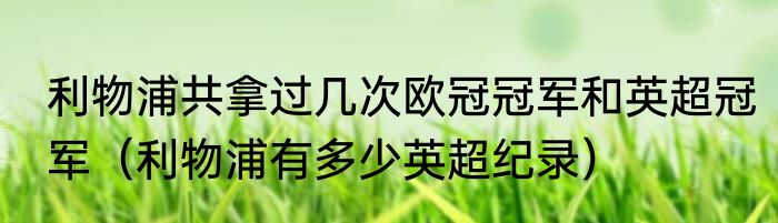 利物浦共拿过几次欧冠冠军和英超冠军（利物浦有多少英超纪录）