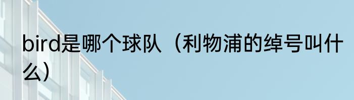 bird是哪个球队（利物浦的绰号叫什么）