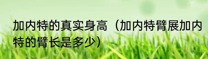 加内特的真实身高（加内特臂展加内特的臂长是多少）