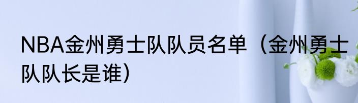 NBA金州勇士队队员名单（金州勇士队队长是谁）