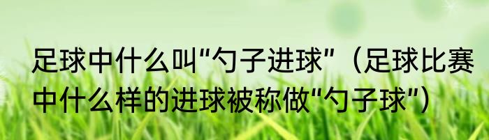 足球中什么叫“勺子进球”（足球比赛中什么样的进球被称做“勺子球”）