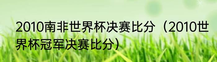 2010南非世界杯决赛比分（2010世界杯冠军决赛比分）