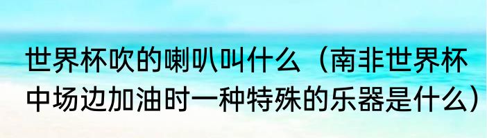 世界杯吹的喇叭叫什么（南非世界杯中场边加油时一种特殊的乐器是什么）