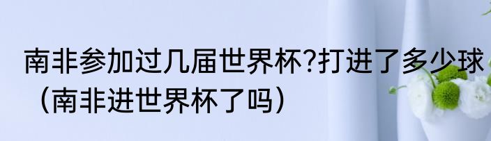 南非参加过几届世界杯?打进了多少球（南非进世界杯了吗）