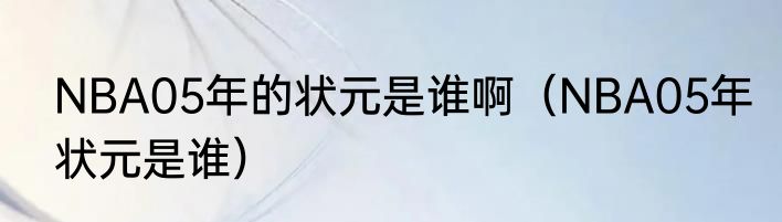 NBA05年的状元是谁啊（NBA05年状元是谁）