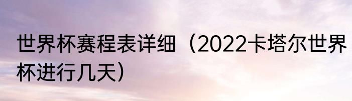 世界杯赛程表详细（2022卡塔尔世界杯进行几天）