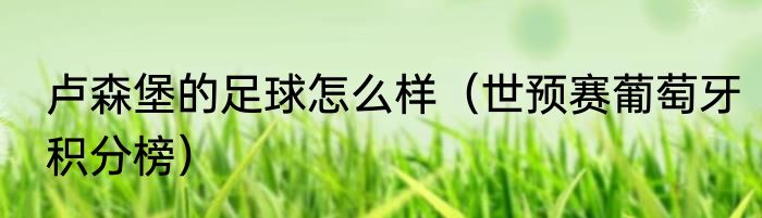 卢森堡的足球怎么样（世预赛葡萄牙积分榜）