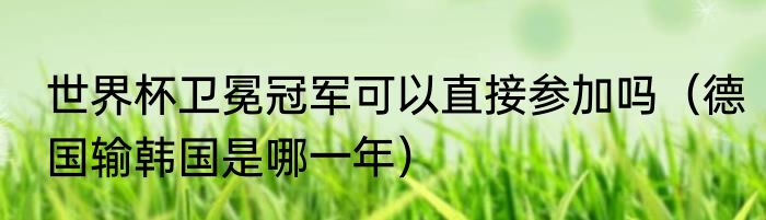 世界杯卫冕冠军可以直接参加吗（德国输韩国是哪一年）