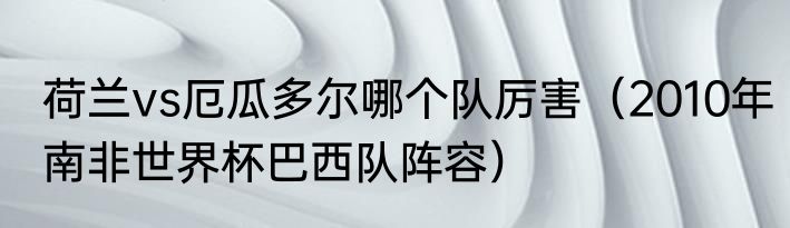 荷兰vs厄瓜多尔哪个队厉害（2010年南非世界杯巴西队阵容）