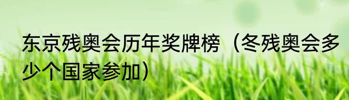 东京残奥会历年奖牌榜（冬残奥会多少个国家参加）
