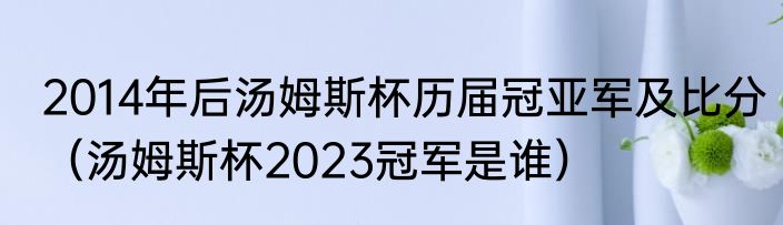 2014年后汤姆斯杯历届冠亚军及比分（汤姆斯杯2023冠军是谁）