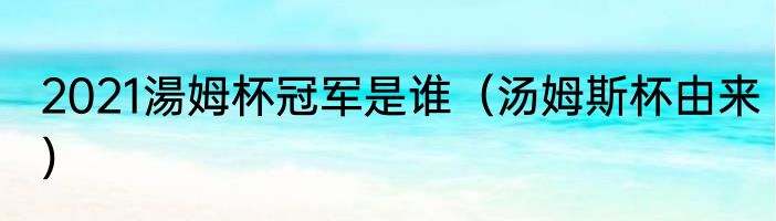 2021湯姆杯冠军是谁（汤姆斯杯由来）