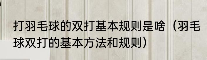 打羽毛球的双打基本规则是啥（羽毛球双打的基本方法和规则）