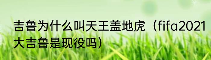 吉鲁为什么叫天王盖地虎（fifa2021大吉鲁是现役吗）