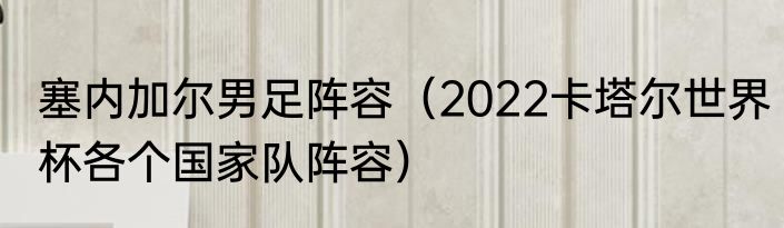 塞内加尔男足阵容（2022卡塔尔世界杯各个国家队阵容）