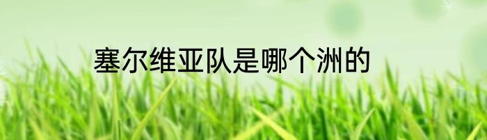 塞尔维亚队是哪个洲的