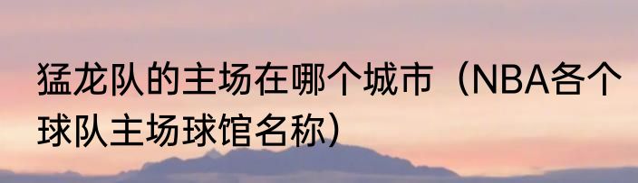 猛龙队的主场在哪个城市（NBA各个球队主场球馆名称）