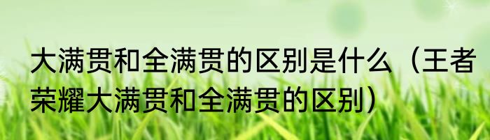 大满贯和全满贯的区别是什么（王者荣耀大满贯和全满贯的区别）