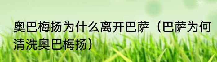 奥巴梅扬为什么离开巴萨（巴萨为何清洗奥巴梅扬）